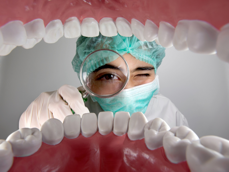 یک دندانپزشک در حال معاینه مدل دهان و دندان‌ها